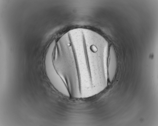 X0000091351398200709071229