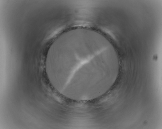 X0000091351399200709071229