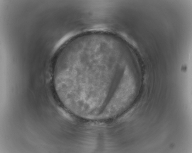X0000091351400200709071229