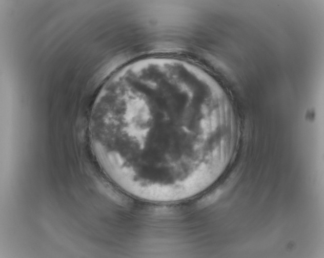 X0000091351401200709071229