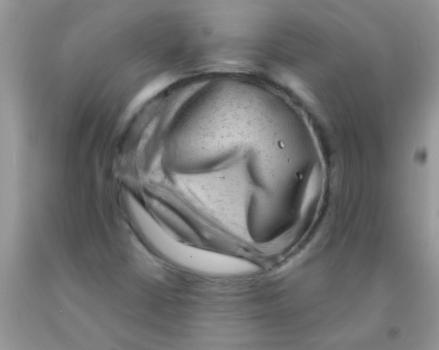 X0000091351402200709071229