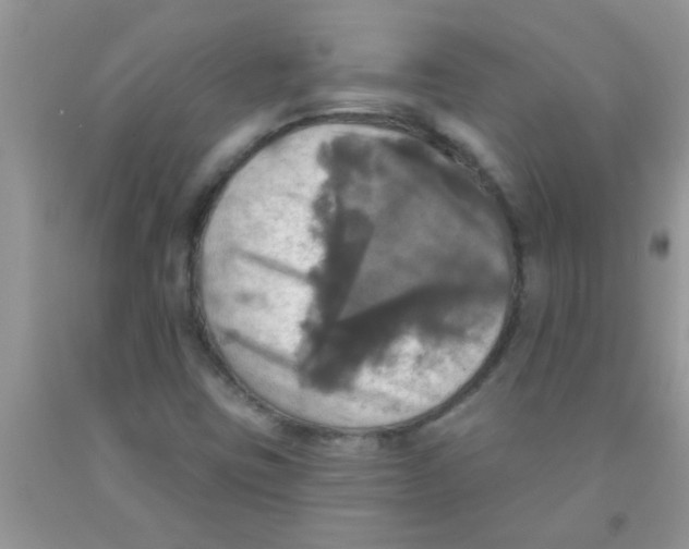 X0000091351403200709071229