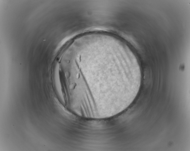 X0000091351404200709071229