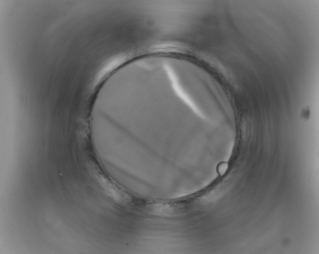 X0000091351405200709071229