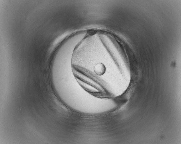 X0000091351406200709071229