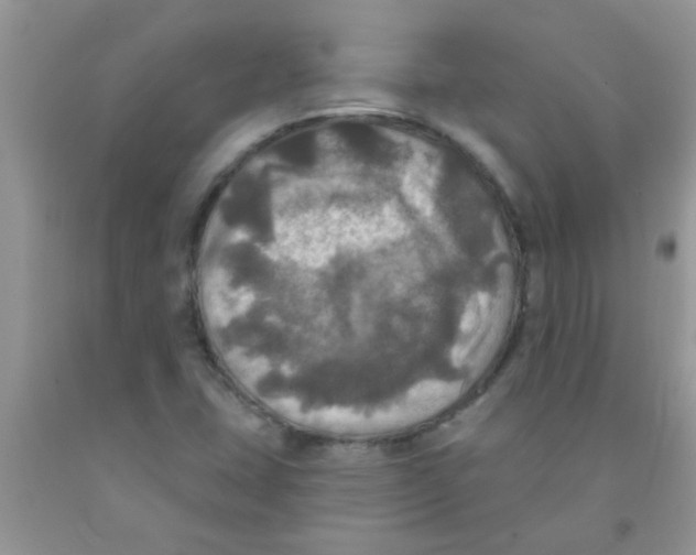 X0000091351407200709071229