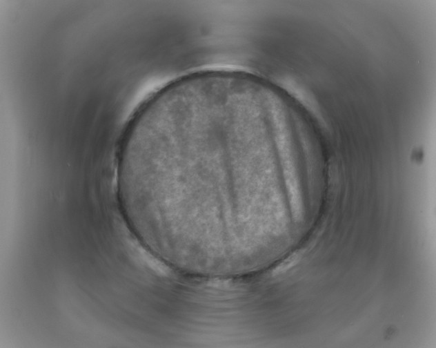 X0000091351408200709071229