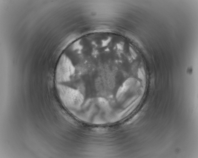 X0000091351409200709071229