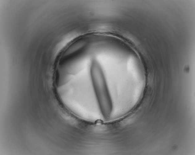 X0000091351410200709071229