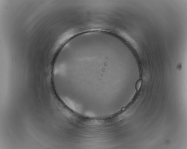 X0000091351411200709071229