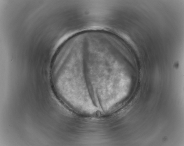 X0000091351412200709071229
