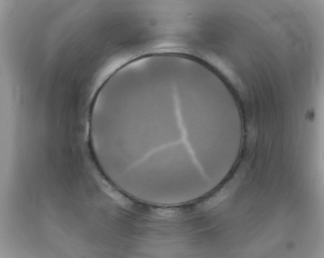 X0000091351413200709071229