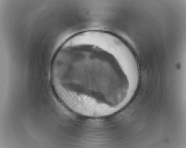 X0000091351415200709071229