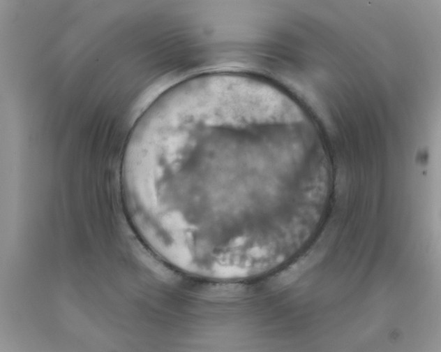 X0000091351417200709071229