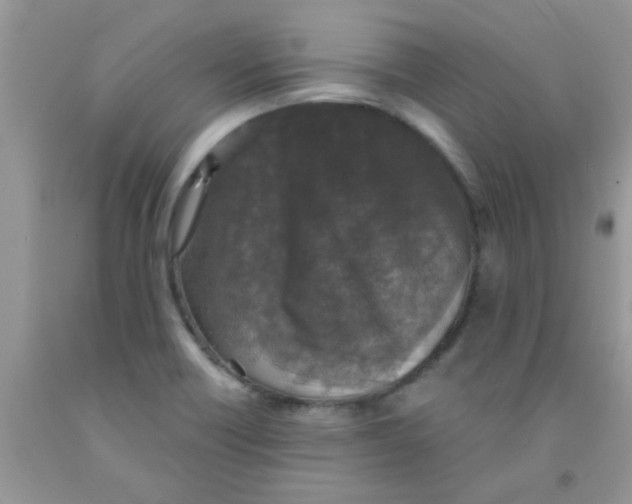 X0000091351418200709071229
