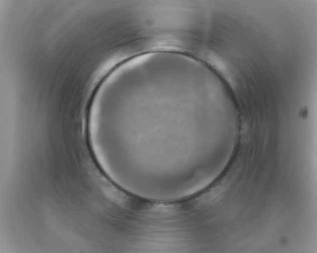 X0000091351419200709071229