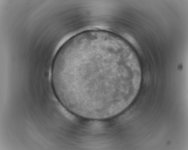 X0000091351420200709071229