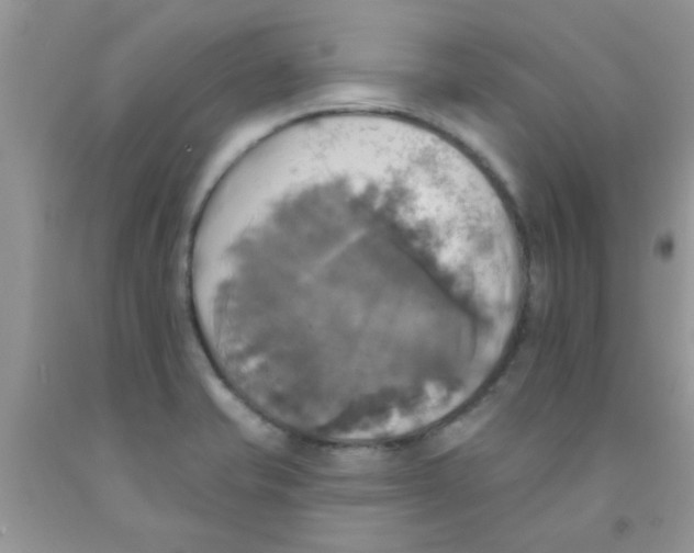 X0000091351421200709071229