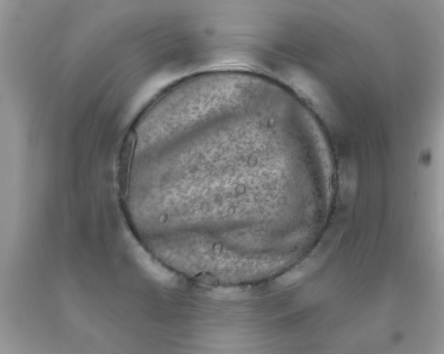 X0000091351422200709071229