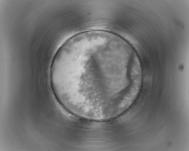 X0000091351423200709071229