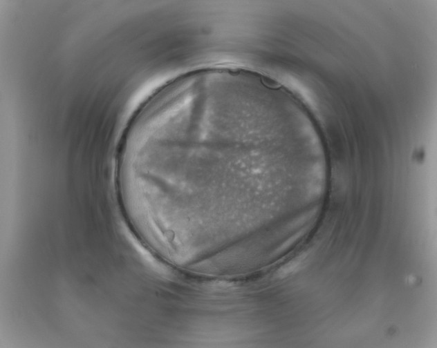 X0000091351424200709071229