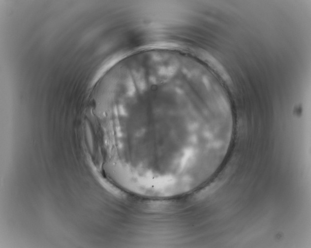 X0000091351425200709071229