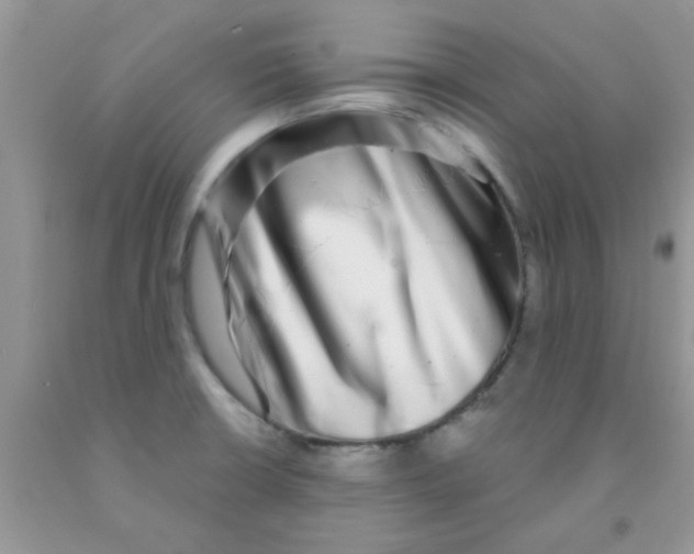 X0000091351426200709071229