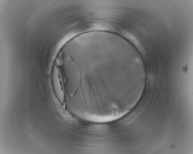 X0000091351427200709071229