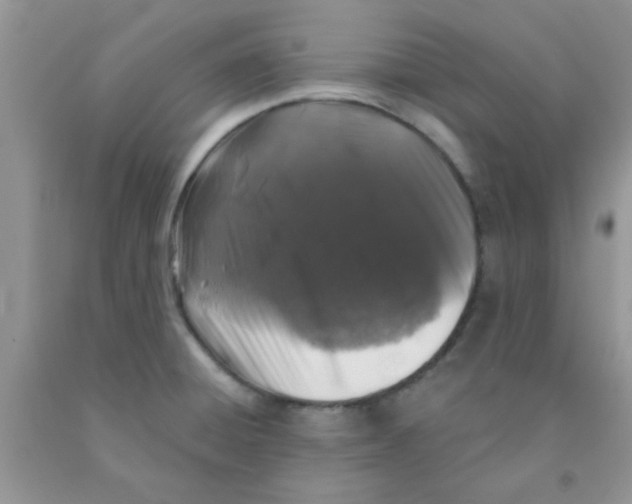 X0000091351428200709071229