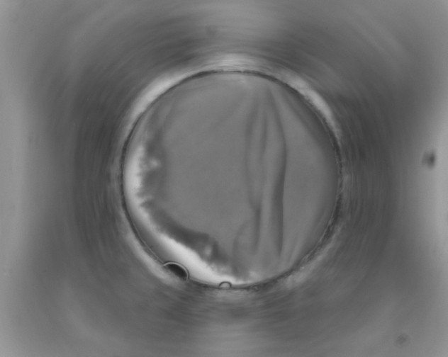 X0000091351429200709071229