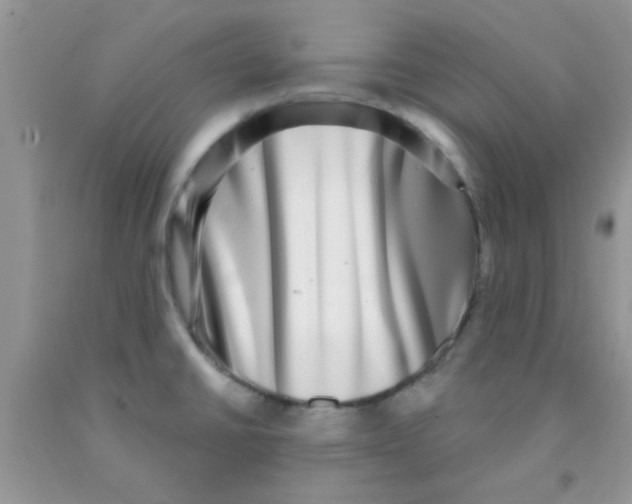 X0000091351430200709071229