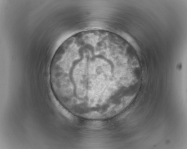 X0000091351431200709071229