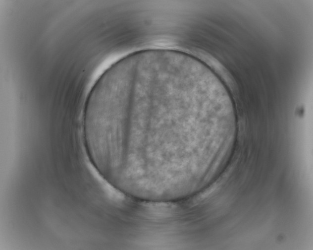 X0000091351432200709071229
