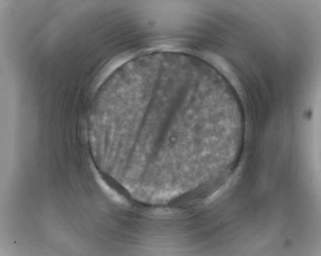 X0000091351433200709071229