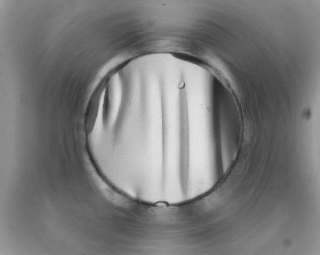X0000091351434200709071229