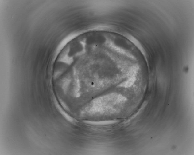 X0000091351437200709071229