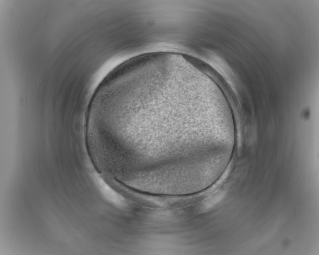 X0000091351438200709071229