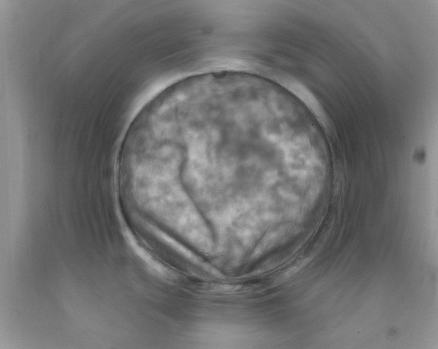 X0000091351439200709071229