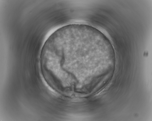 X0000091351440200709071229