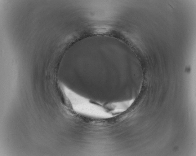 X0000091351441200709071229