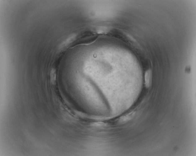 X0000091351443200709071229