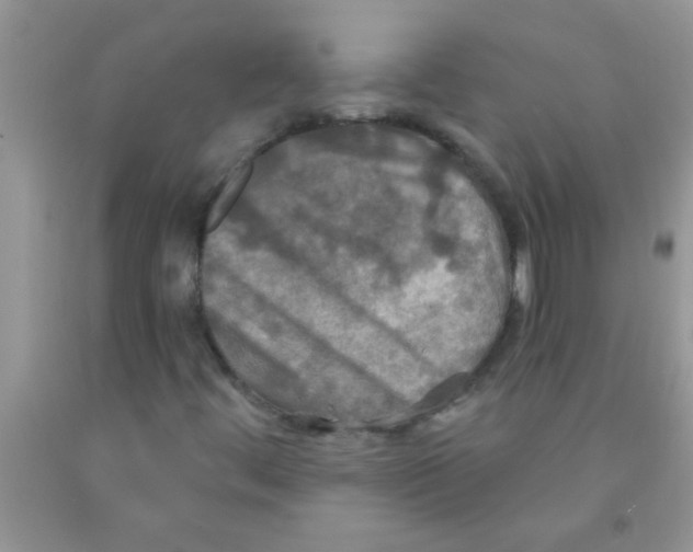 X0000091351444200709071229