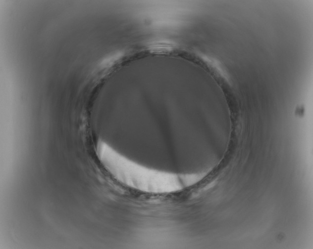 X0000091351445200709071229