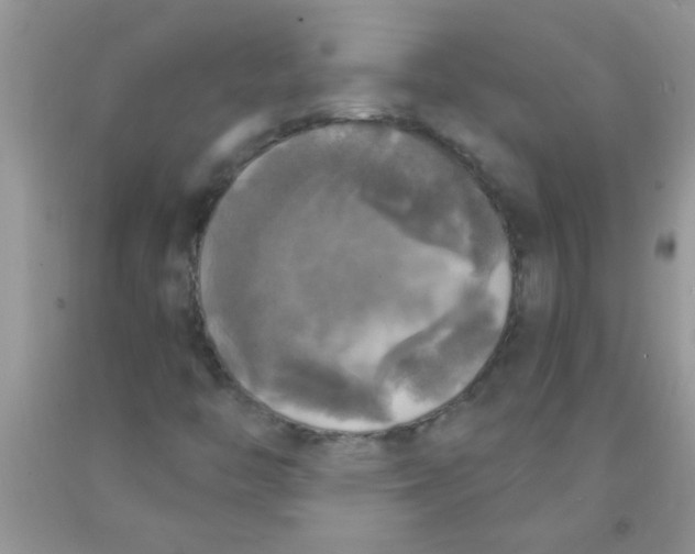 X0000091351446200709071229