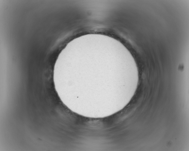 X0000091351447200709071229