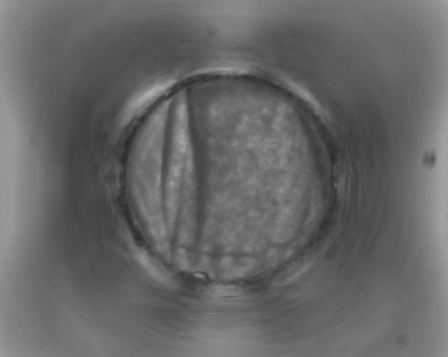 X0000091351448200709071229