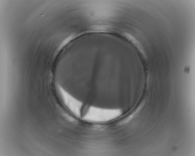 X0000091351449200709071229