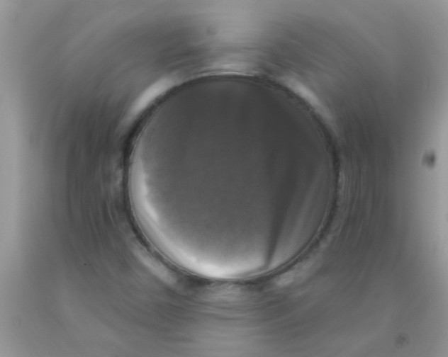 X0000091351450200709071229