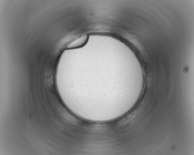 X0000091351451200709071229