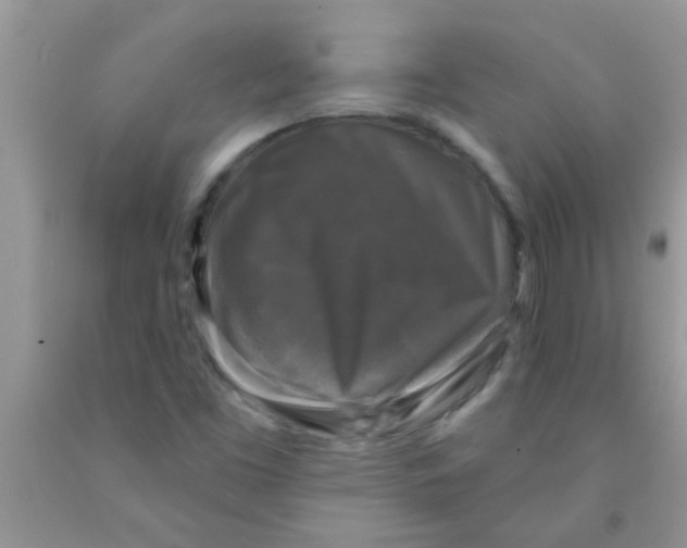 X0000091351453200709071229